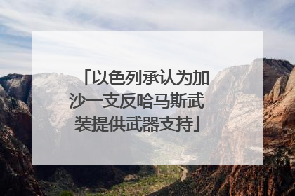 以色列承认为加沙一支反哈马斯武装提供武器支持