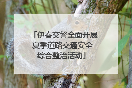 伊春交警全面开展 夏季道路交通安全综合整治活动