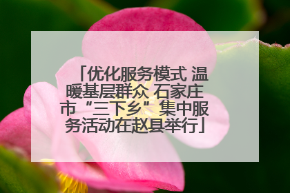 优化服务模式 温暖基层群众 石家庄市“三下乡”集中服务活动在赵县举行