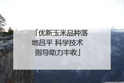 优新玉米品种落地昌平 科学技术指导助力丰收