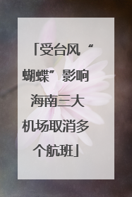 受台风“蝴蝶”影响 海南三大机场取消多个航班