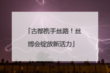 古都携手丝路！丝博会绽放新活力
