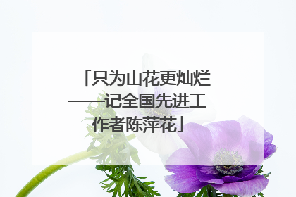 只为山花更灿烂——记全国先进工作者陈萍花