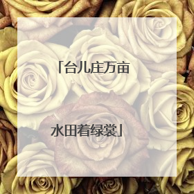 台儿庄万亩水田着绿裳