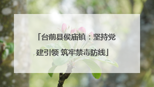 台前县侯庙镇：坚持党建引领 筑牢禁毒防线