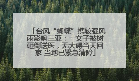 台风“蝴蝶”携较强风雨影响三亚：一女子被树砸倒送医，无大碍当天回家 当地已紧急清障