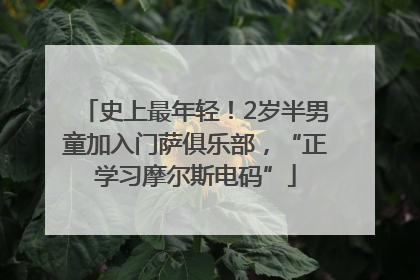 史上最年轻！2岁半男童加入门萨俱乐部，“正学习摩尔斯电码”