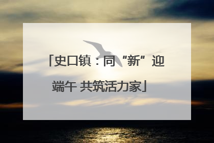 史口镇：同“新”迎端午 共筑活力家
