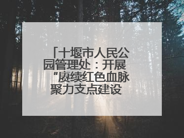 十堰市人民公园管理处：开展“赓续红色血脉 聚力支点建设”庆七一活动