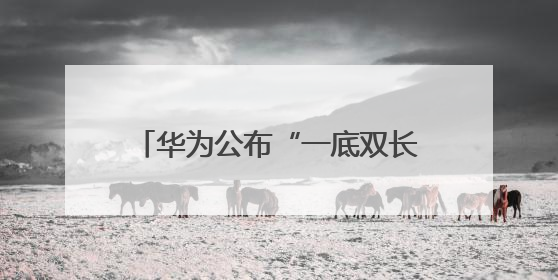 华为公布“一底双长焦”专利，将首发于Pura 80系列