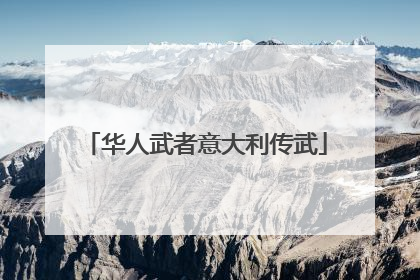 华人武者意大利传武