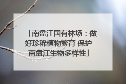 南盘江国有林场：做好珍稀植物繁育 保护南盘江生物多样性