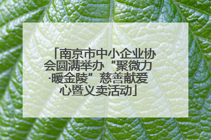 南京市中小企业协会圆满举办“聚微力·暖金陵”慈善献爱心暨义卖活动