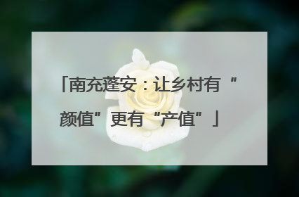 南充蓬安：让乡村有“颜值”更有“产值”