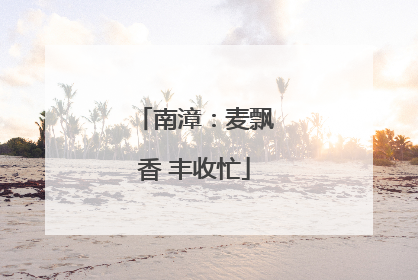 南漳：麦飘香 丰收忙