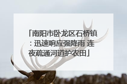 南阳市卧龙区石桥镇：迅速响应强降雨 连夜疏通河道护农田