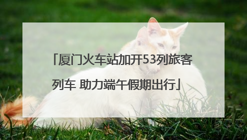 厦门火车站加开53列旅客列车 助力端午假期出行