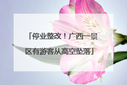 停业整改！广西一景区有游客从高空坠落