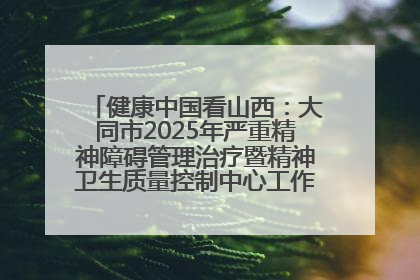 健康中国看山西：大同市2025年严重精神障碍管理治疗暨精神卫生质量控制中心工作培训班开班
