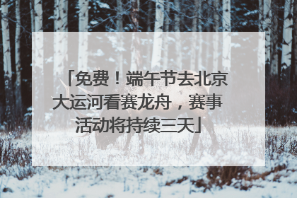 免费！端午节去北京大运河看赛龙舟，赛事活动将持续三天