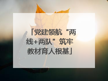 党建领航“两线+两队”筑牢教材育人根基