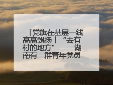 党旗在基层一线高高飘扬丨“去有村的地方”——湖南有一群青年党员这样选择