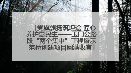 党旗飘扬筑坦途 匠心养护惠民生——玉门公路段“两个集中”工程暨示范桥创建项目圆满收官