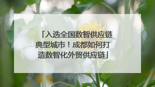 入选全国数智供应链典型城市！成都如何打造数智化外贸供应链