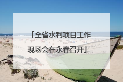 全省水利项目工作现场会在永春召开