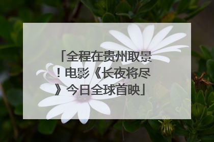 全程在贵州取景！电影《长夜将尽》今日全球首映