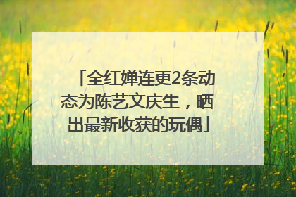 全红婵连更2条动态为陈艺文庆生，晒出最新收获的玩偶