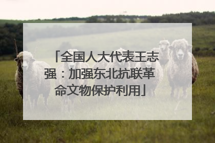 全国人大代表王志强：加强东北抗联革命文物保护利用
