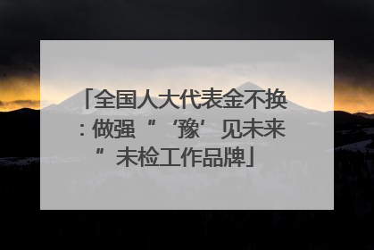 全国人大代表金不换：做强“‘豫’见未来”未检工作品牌