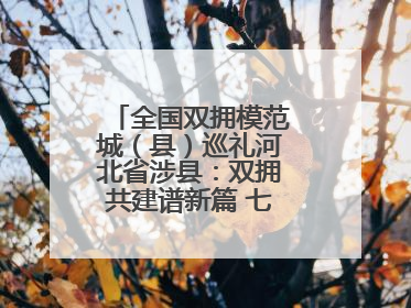 全国双拥模范城（县）巡礼河北省涉县：双拥共建谱新篇 七度折桂耀太行