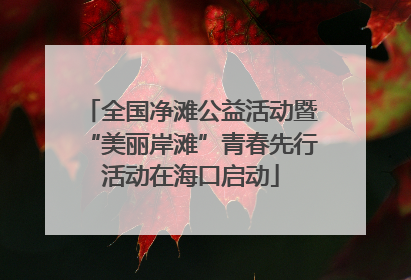 全国净滩公益活动暨“美丽岸滩”青春先行活动在海口启动