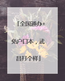 全国通办+免户口本，武昌打个样