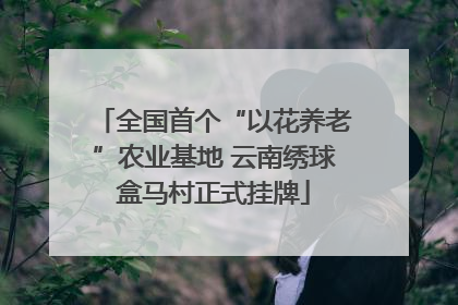 全国首个“以花养老”农业基地 云南绣球盒马村正式挂牌