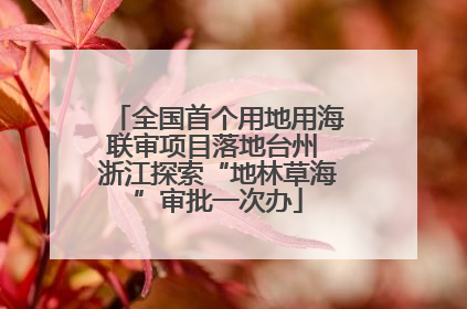全国首个用地用海联审项目落地台州 浙江探索“地林草海”审批一次办