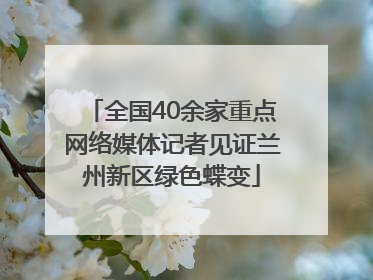 全国40余家重点网络媒体记者见证兰州新区绿色蝶变
