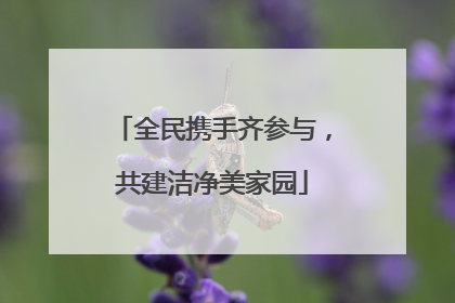 全民携手齐参与，共建洁净美家园