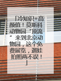 冷知识+高颜值！莫斯科动物园“顶流”来到北京动物园，这个免费展览，遛娃拍照两不误！