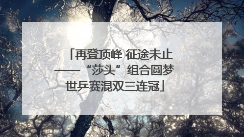 再登顶峰 征途未止——“莎头”组合圆梦世乒赛混双三连冠