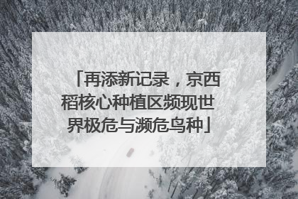再添新记录，京西稻核心种植区频现世界极危与濒危鸟种