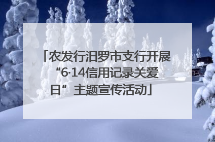 农发行汨罗市支行开展“6·14信用记录关爱日”主题宣传活动