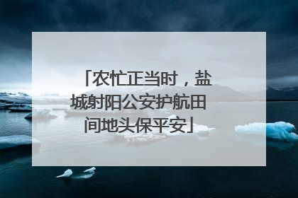 农忙正当时，盐城射阳公安护航田间地头保平安