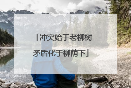 冲突始于老柳树 矛盾化于柳荫下