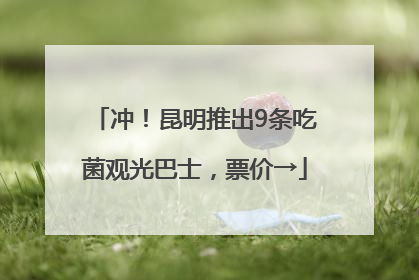 冲！昆明推出9条吃菌观光巴士，票价→