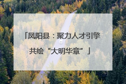 凤阳县：聚力人才引擎 共绘“大明华章”