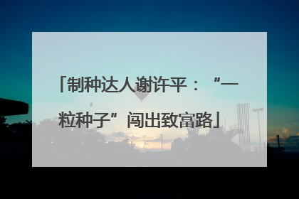 制种达人谢许平：“一粒种子”闯出致富路