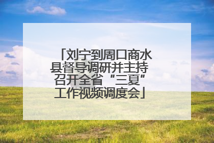 刘宁到周口商水县督导调研并主持召开全省“三夏”工作视频调度会